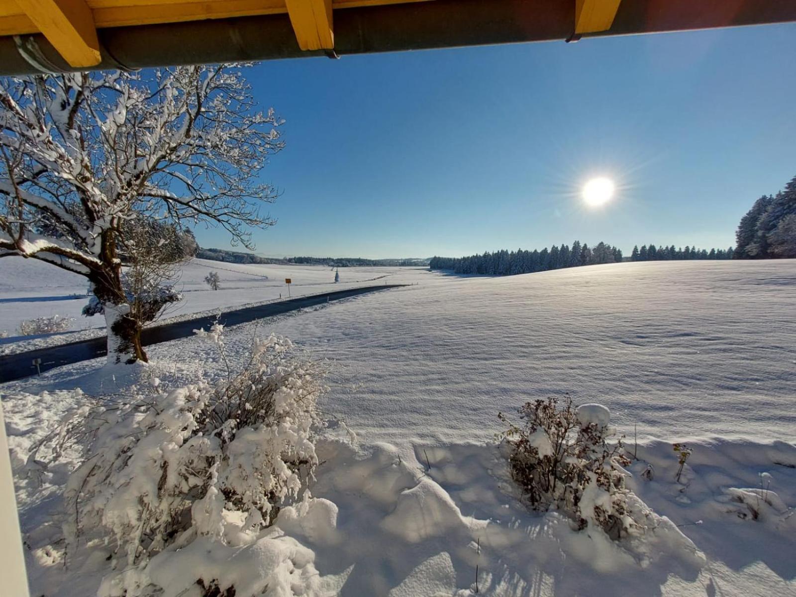 Allgaeu Bergblick Leutkirch im Allgäu Buitenkant foto