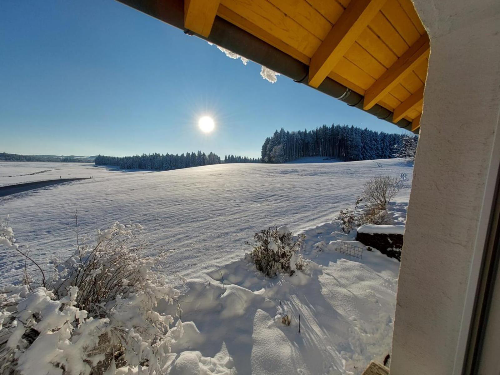 Allgaeu Bergblick Leutkirch im Allgäu Buitenkant foto