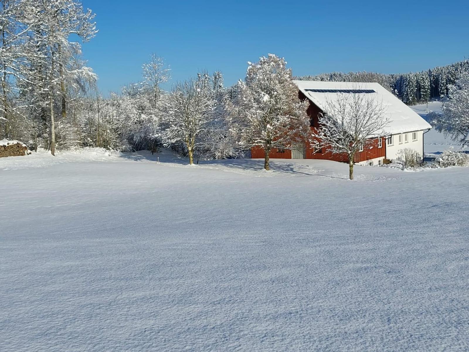 Allgaeu Bergblick Leutkirch im Allgäu Buitenkant foto
